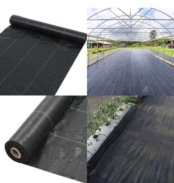 Taban Örtüsü 1 Taban Örtüsü 1