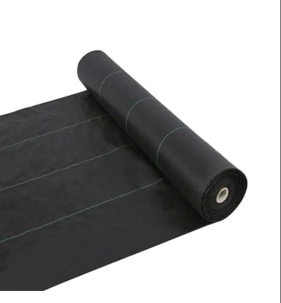 Taban Örtüsü 2 Taban Örtüsü 2